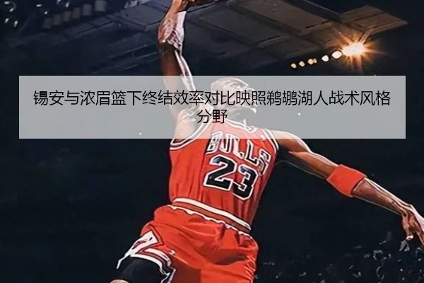 锡安与浓眉篮下终结效率对比映照鹈鹕湖人战术风格分野