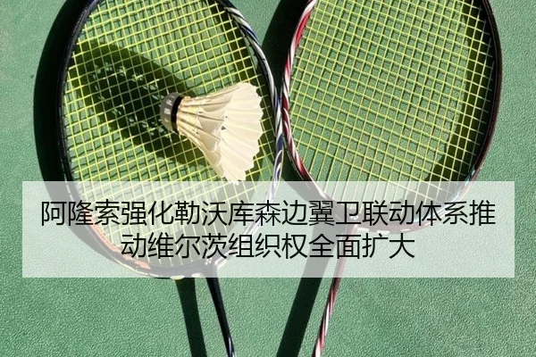 阿隆索强化勒沃库森边翼卫联动体系推动维尔茨组织权全面扩大