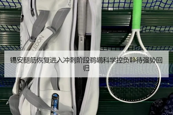 锡安腿筋恢复进入冲刺阶段鹈鹕科学控负静待强势回归